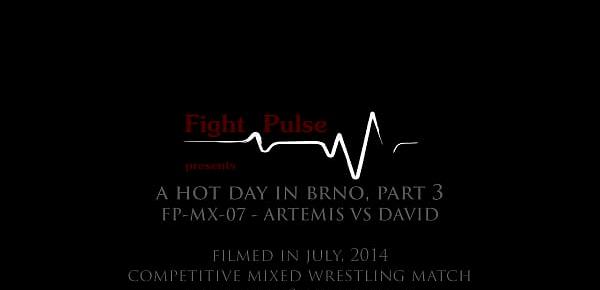  Artemis vs David demo